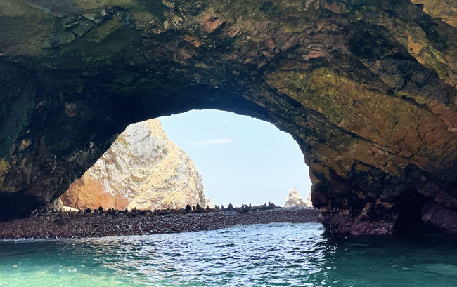islas-ballestas-como-llegar